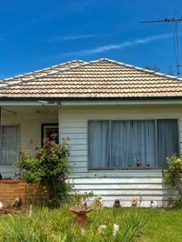 roof cleaning and repair