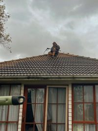 roof cleaning and restoration